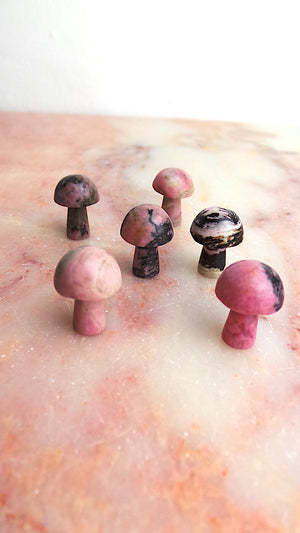 Rhodonite Mushroom