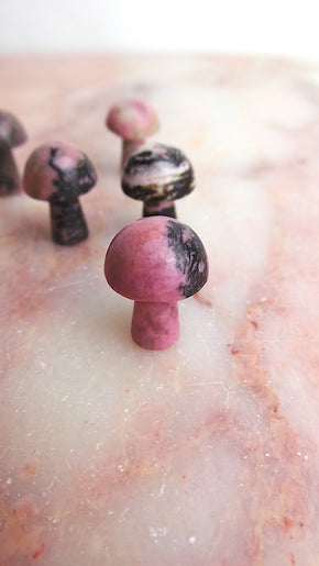 Rhodonite Mushroom