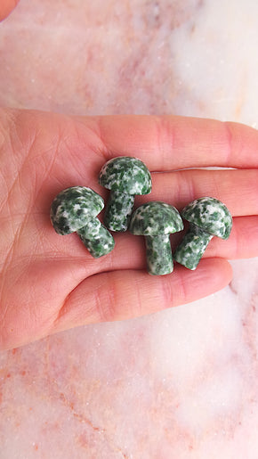 Green Jade Mushrrom