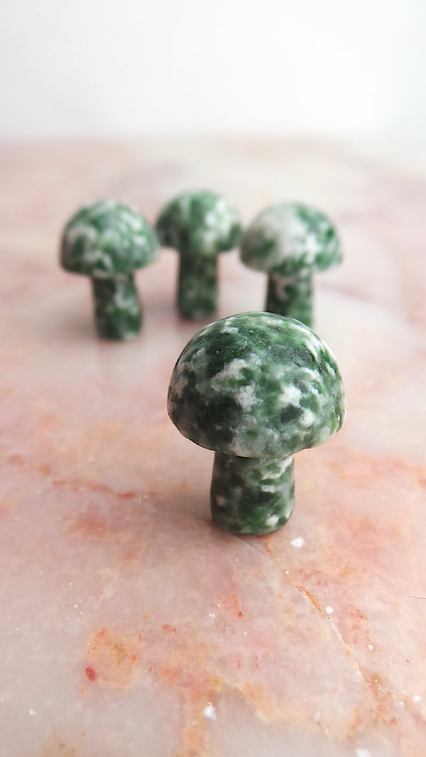 Green Jade Mushrrom