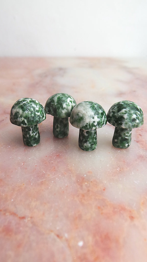 Green Jade Mushrrom