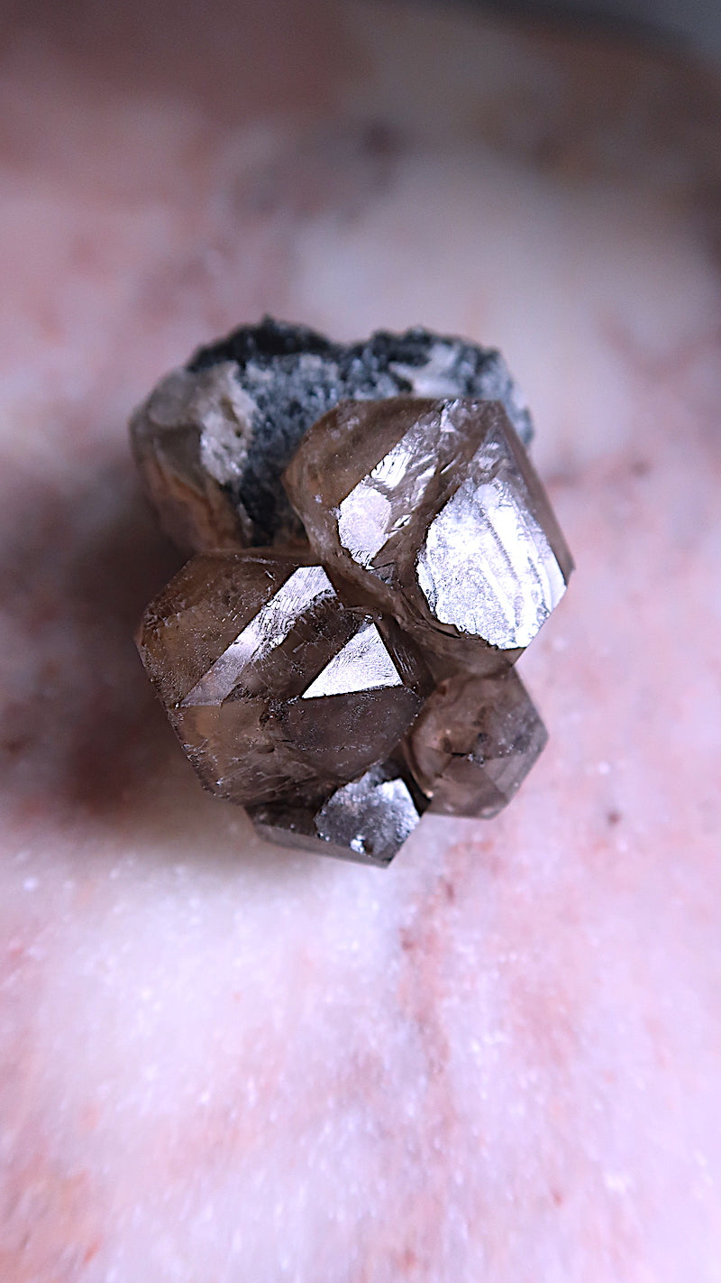 Elestial Quartz & Black Tourmaline Cluster