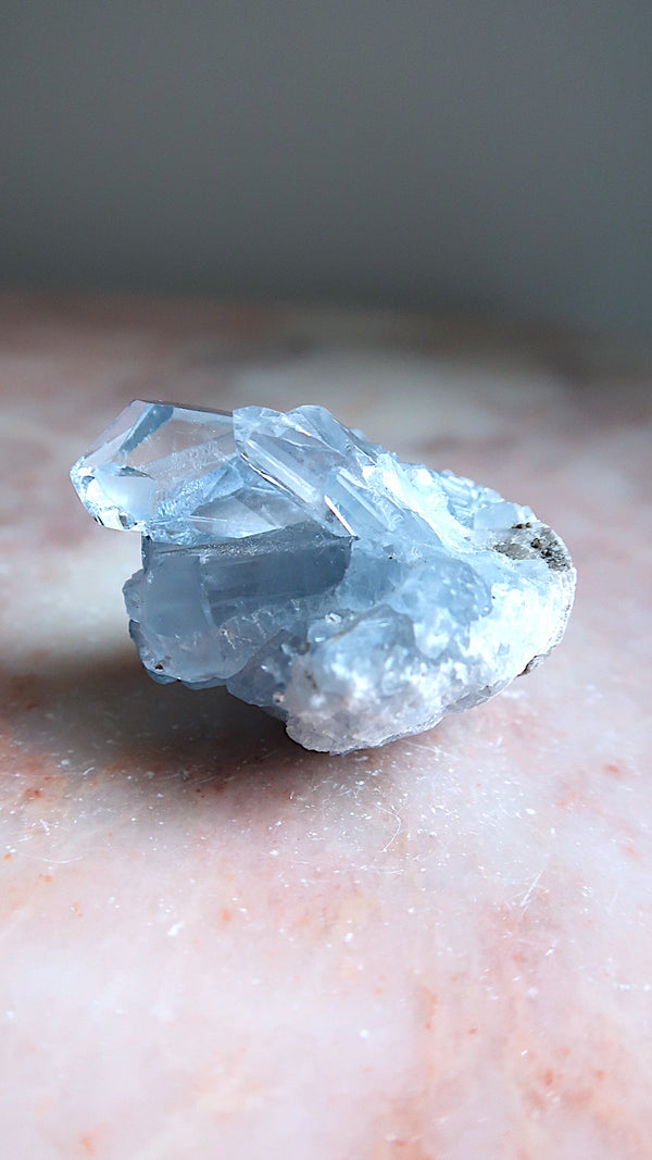 Premium Celestite Cluster