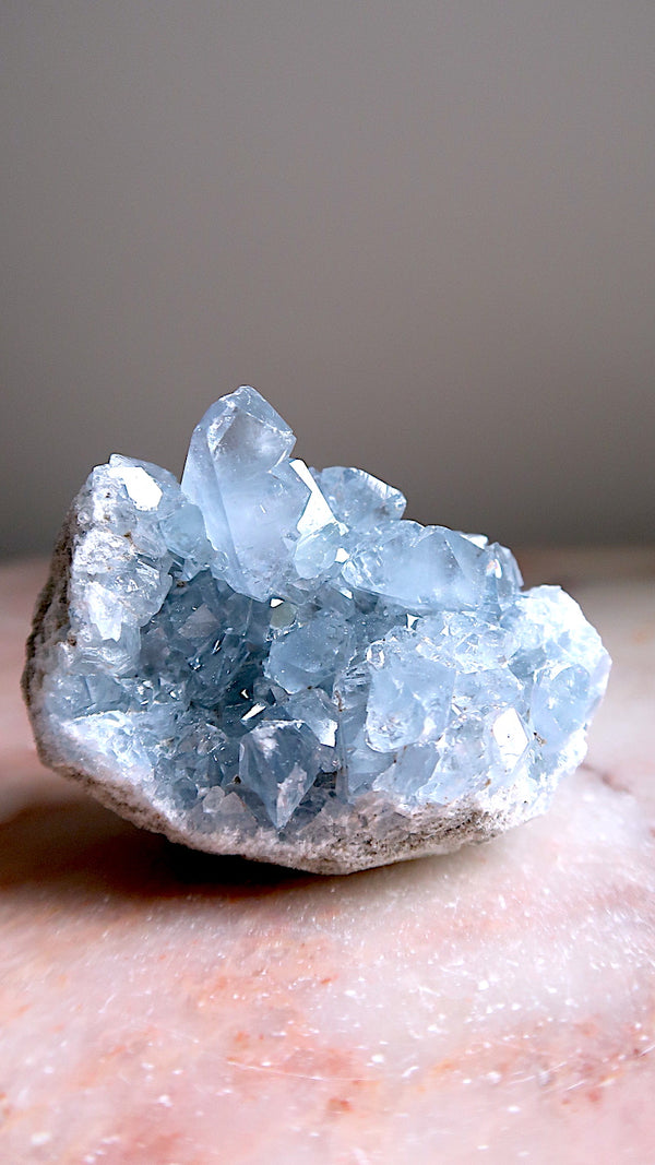 Premium Celestite Cluster