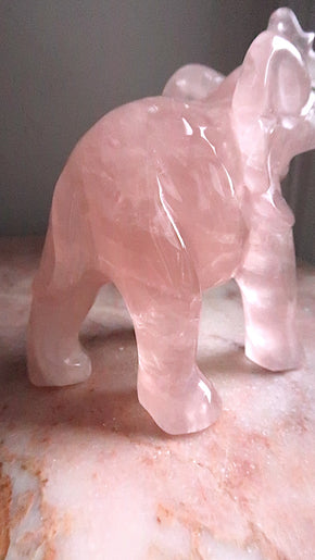 Large Rose Quartz Elephant