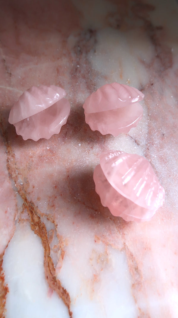 Rose Quartz Shell