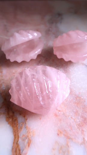 Rose Quartz Shell