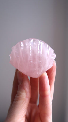 Rose Quartz Shell