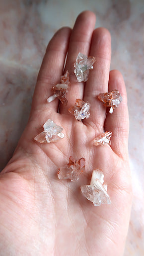 Rare Small Peach Apophyllite