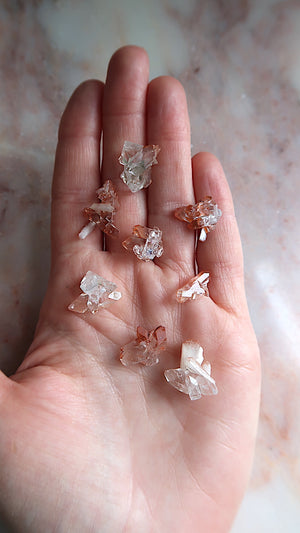 Rare Small Peach Apophyllite