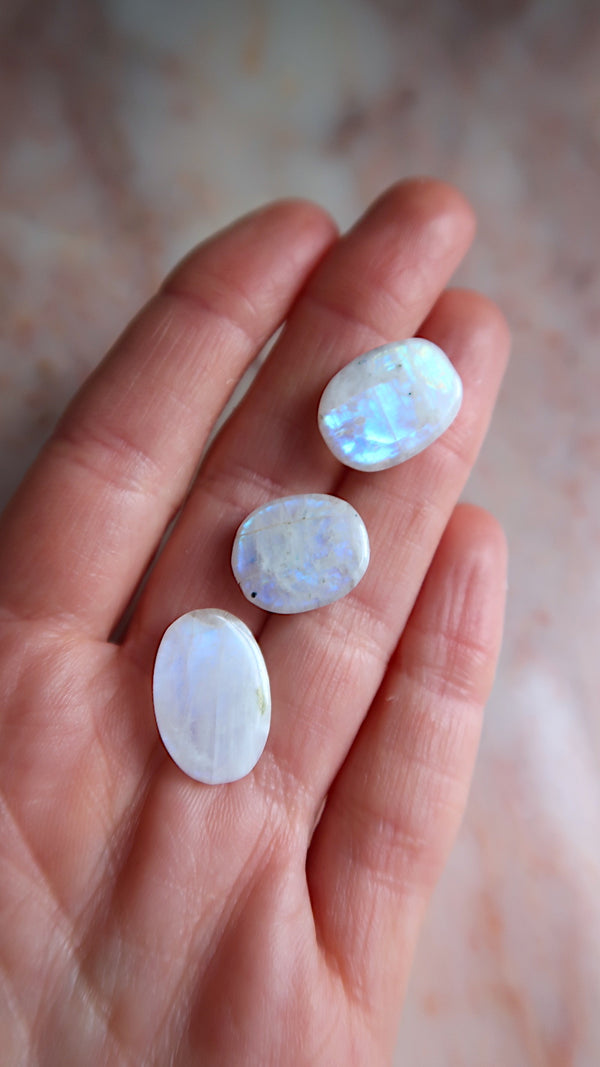 Premium Rainbow Moonstone