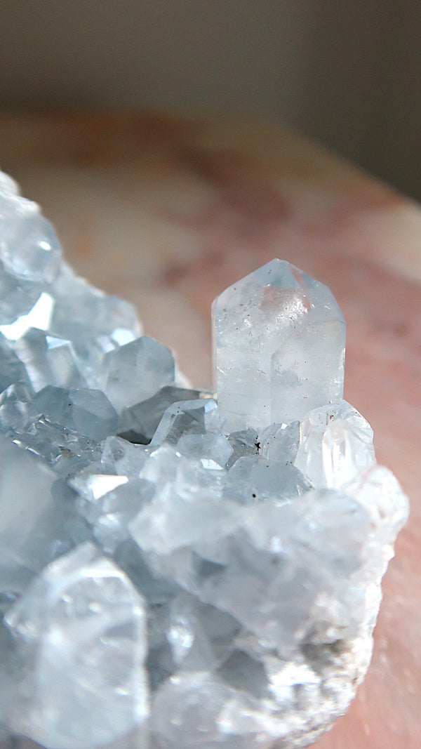 Large Premium Celestite Cluster