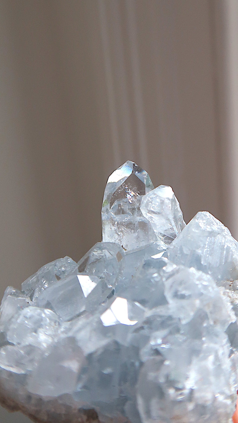 Premium Celestite Cluster