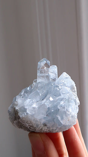 Premium Celestite Cluster