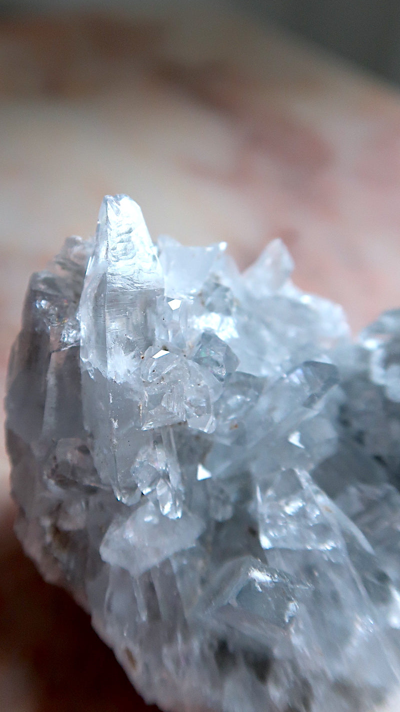 Premium Celestite Cluster