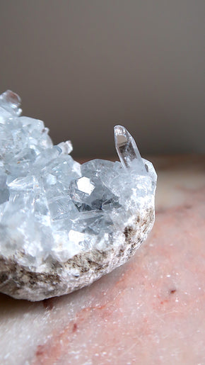 Premium Celestite Cluster