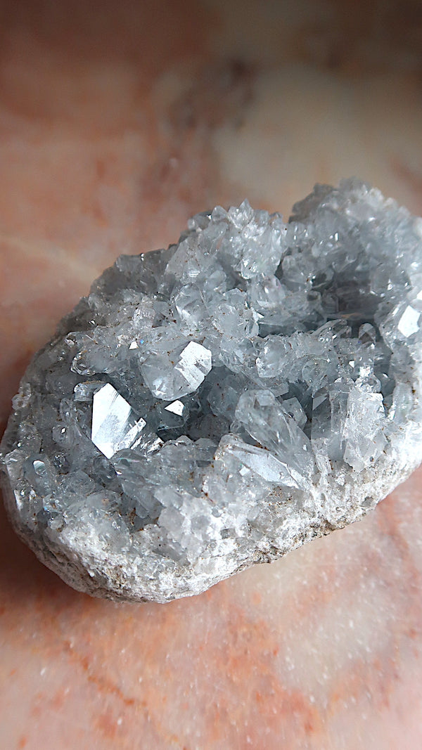 Large Premium Celestite Cluster