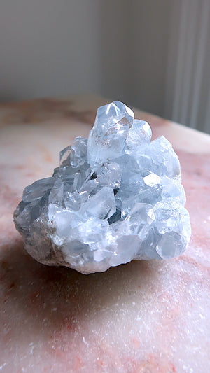 Premium Celestite Cluster