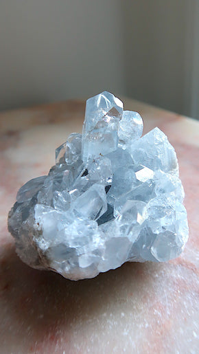 Premium Celestite Cluster