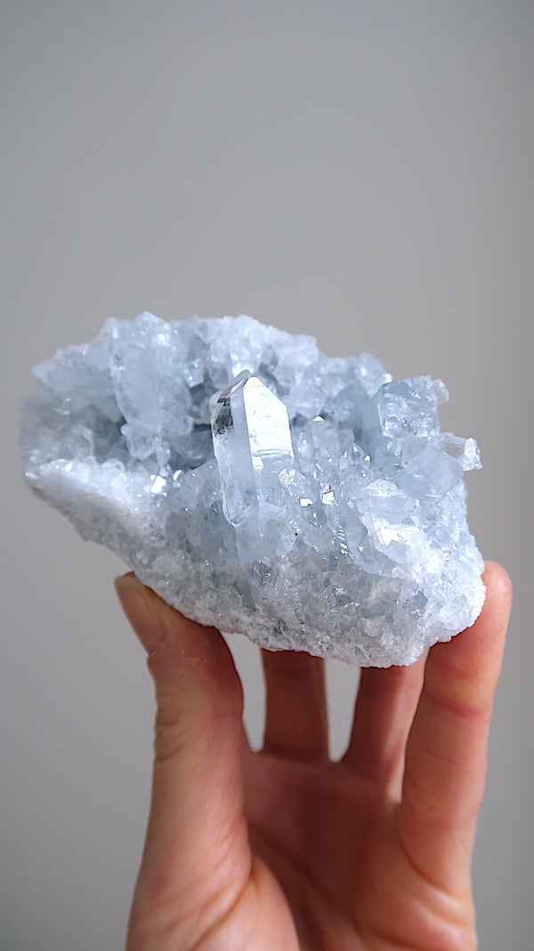 Large Premium Celestite Cluster