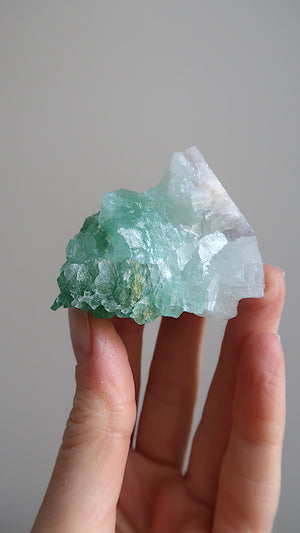 Deep Green Apophyllite