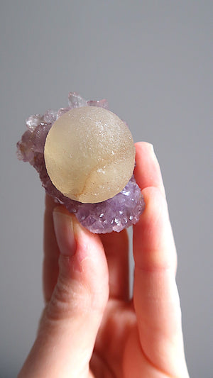 Botryoidal Fluorite & Amethyst