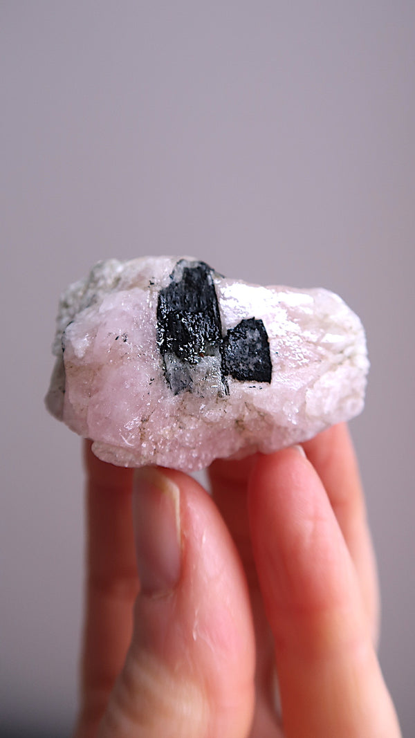 Pink Morganite & Tourmaline