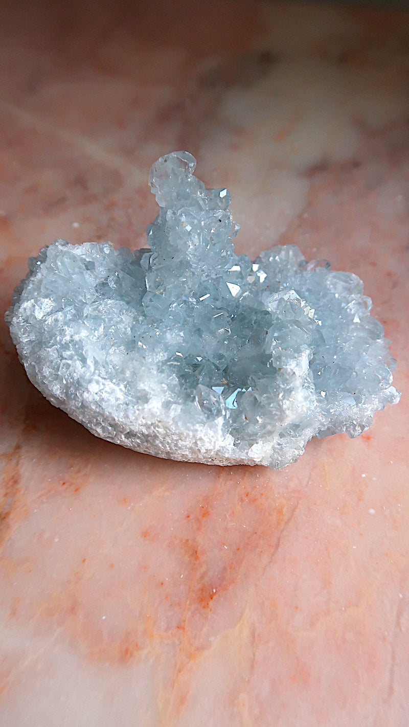 Premium Celestite Cluster