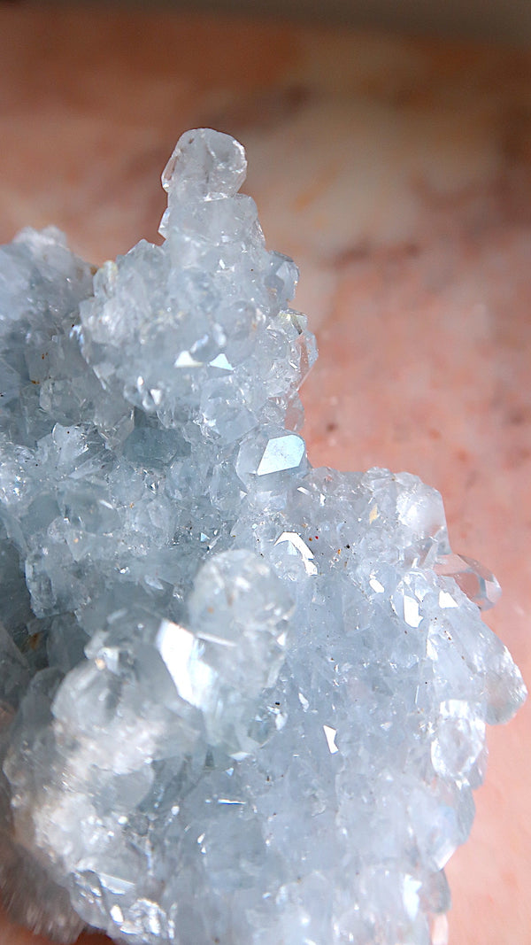 Premium Celestite Cluster