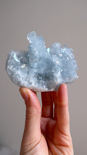 Premium Celestite Cluster