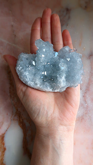 Premium Celestite Cluster