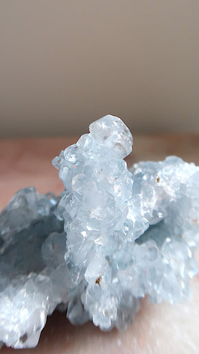 Premium Celestite Cluster