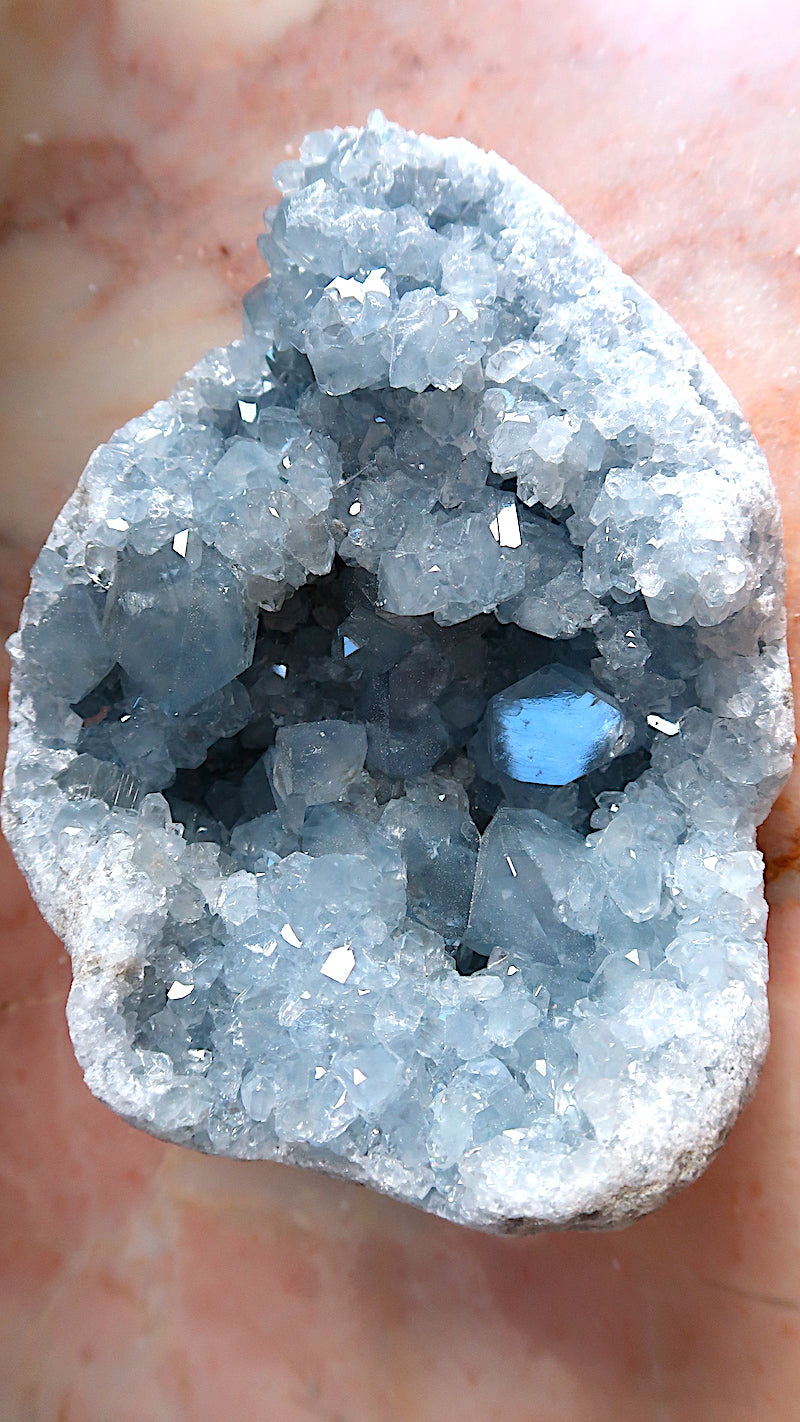 Extra Large Premium Celestite