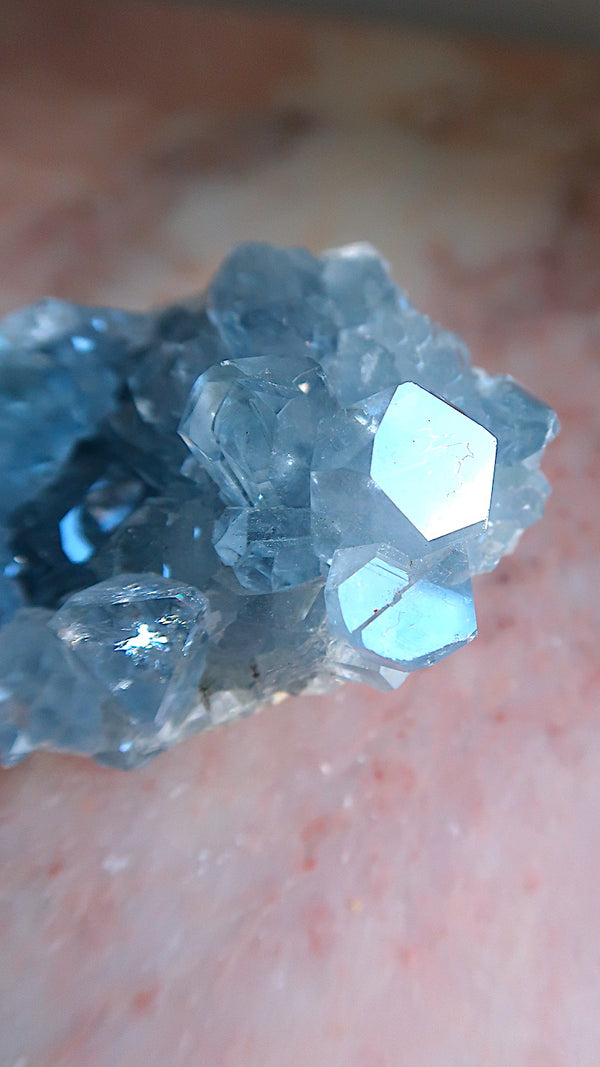 Premium Celestite Cluster