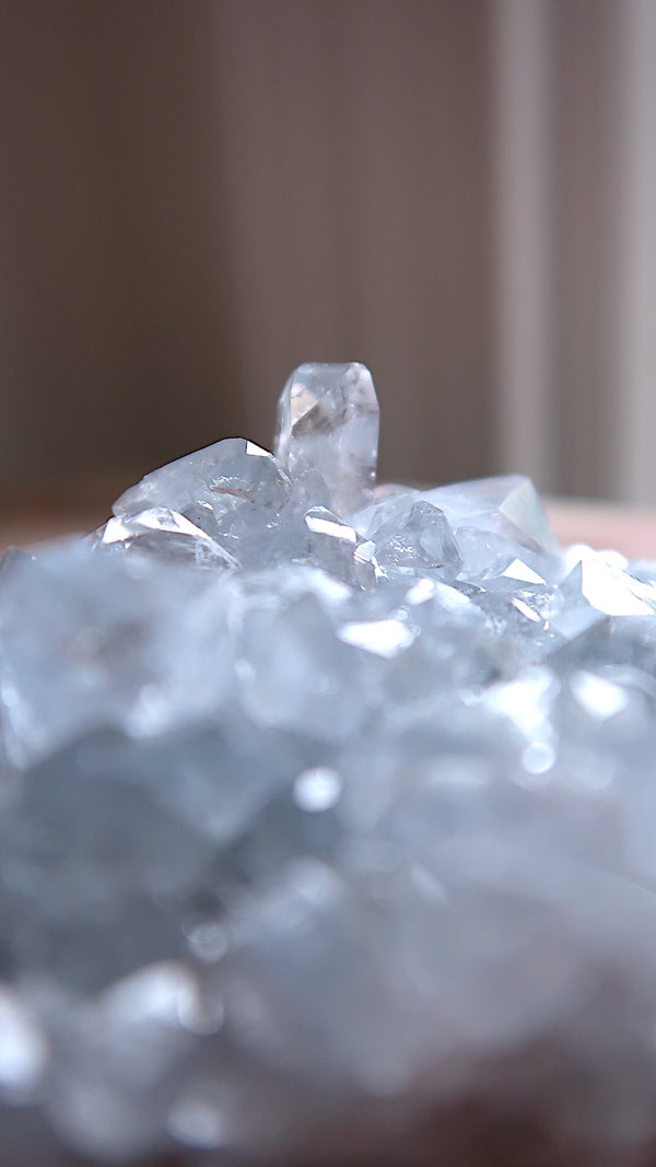 Premium Celestite Cluster