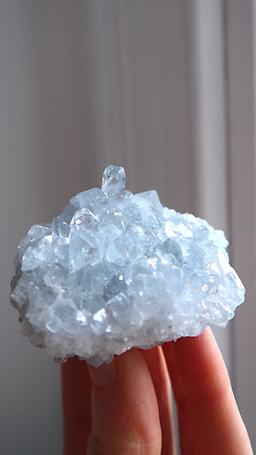 Premium Celestite Cluster