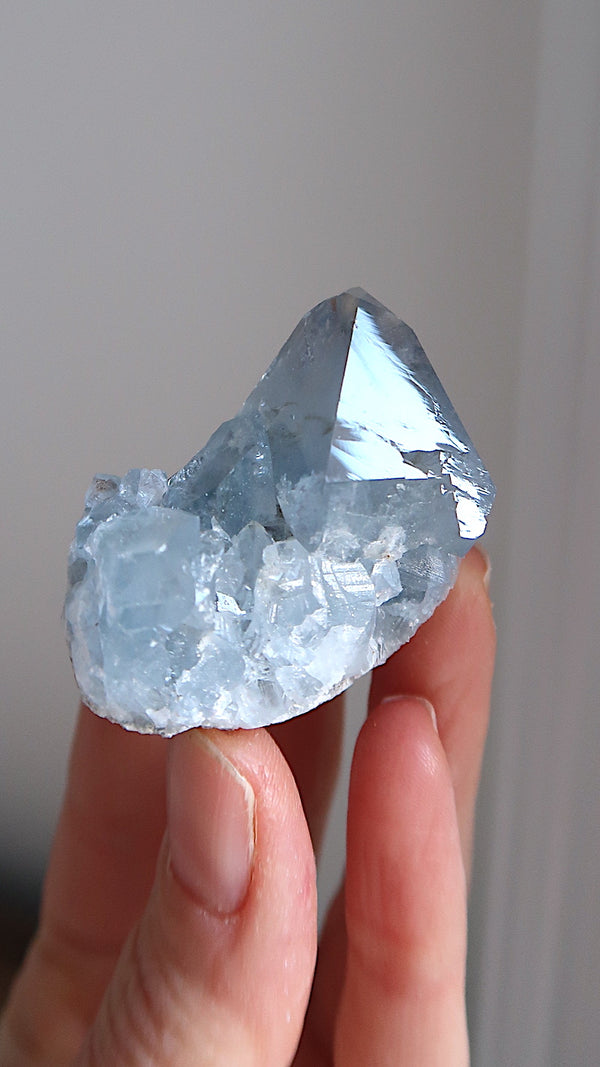 Premium Celestite