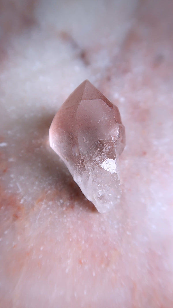 Cherry Lithium Point