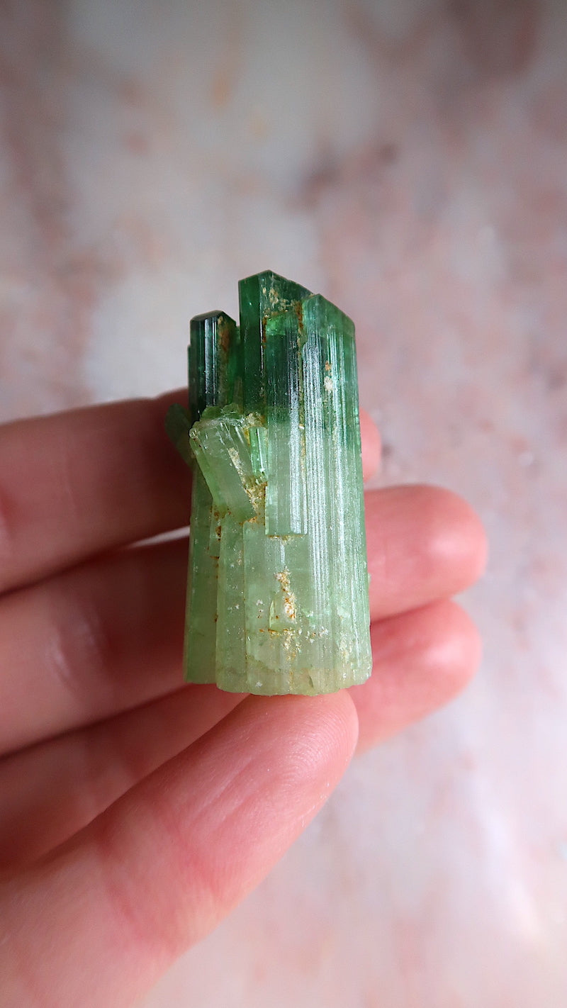 Premium Green & Pink Tourmaline