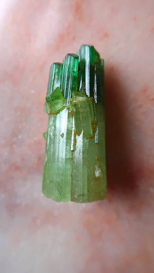 Premium Green & Pink Tourmaline