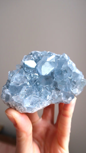 Large Premium Celestite Cluster