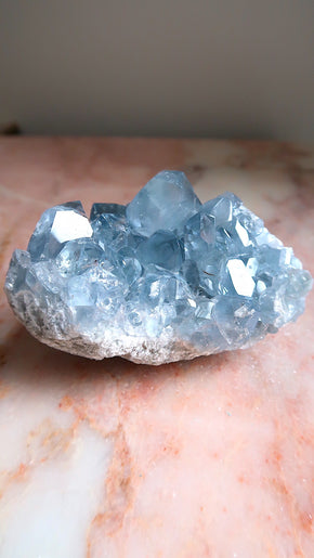 Large Premium Celestite Cluster