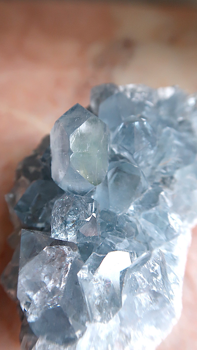 Large Premium Celestite Cluster