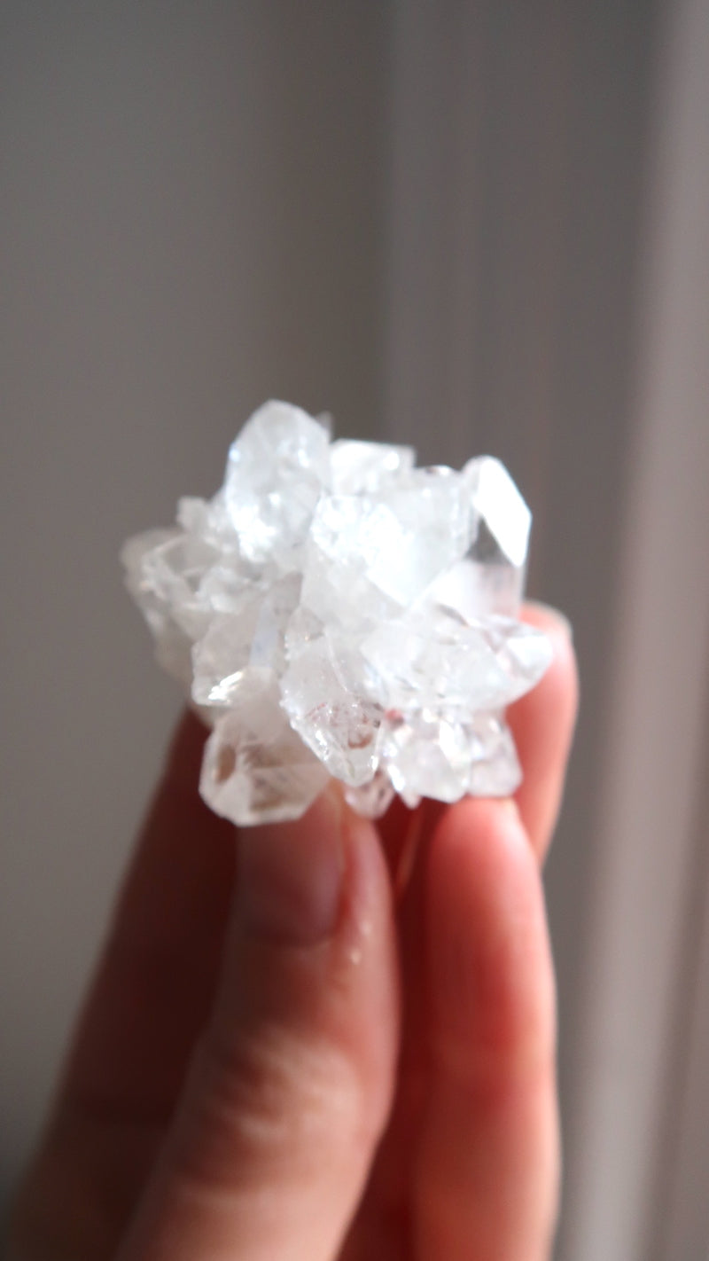 Premium Clear Apophyllite