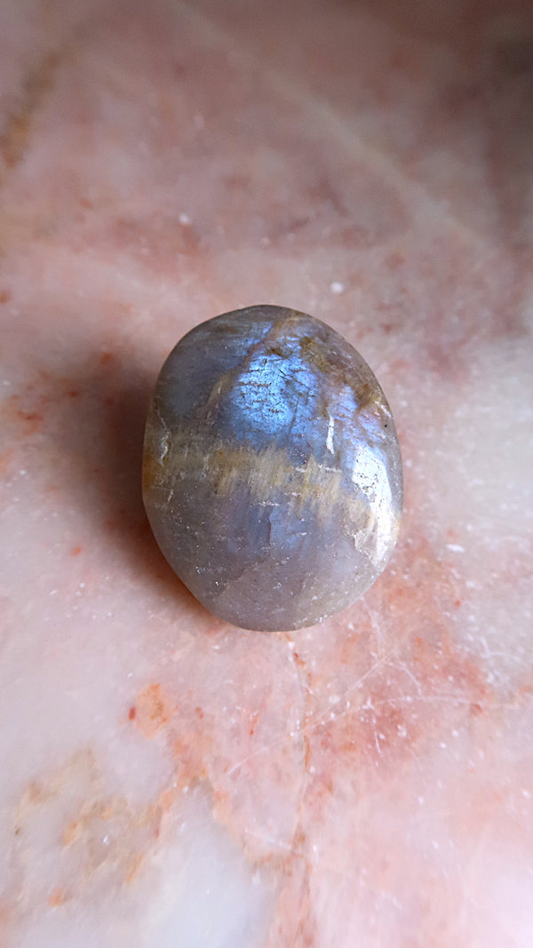 Black Moonstone Palm Stone