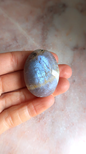 Black Moonstone Palm Stone