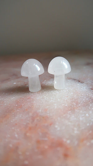 Clear Quartz Mushroom