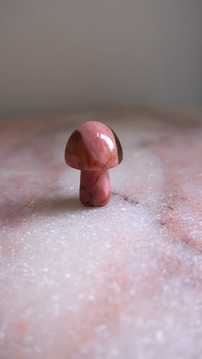 Rhodonite Mushroom