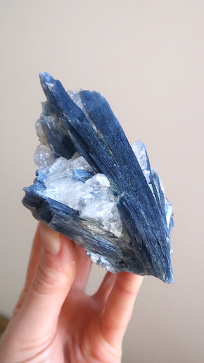 Large Premium Blue Kyanite Cluster