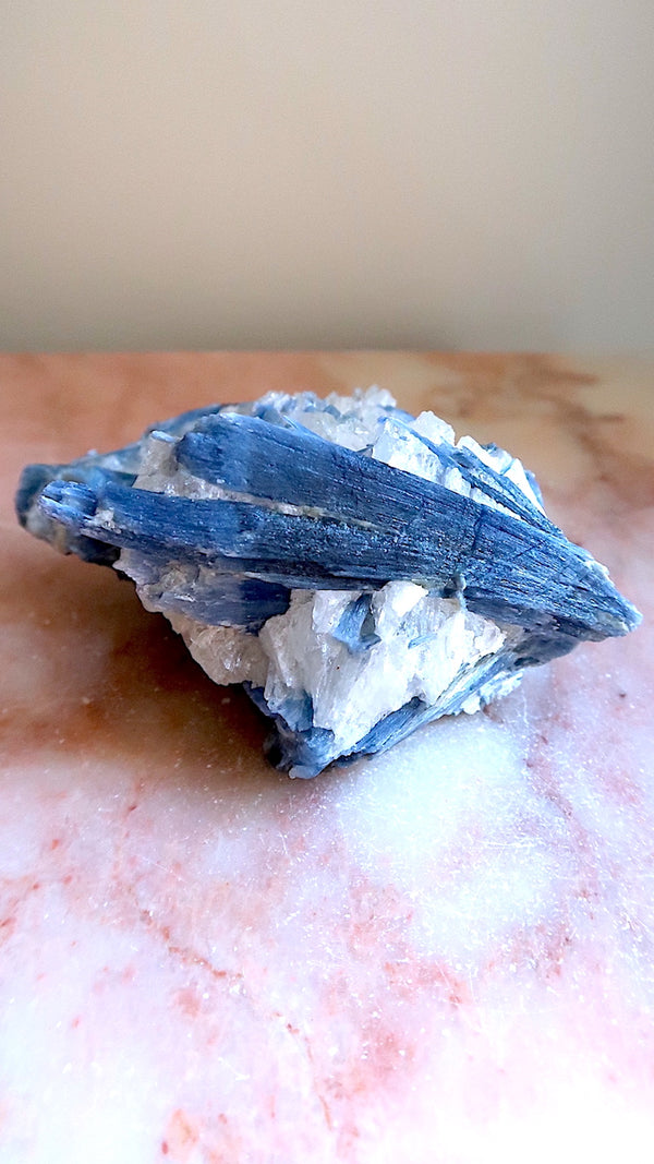 Large Premium Blue Kyanite Cluster